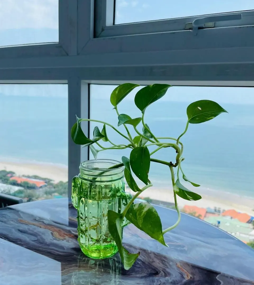 Apartmán Can Ho Oasky Canh Bien Bai Sau Vũng Tàu